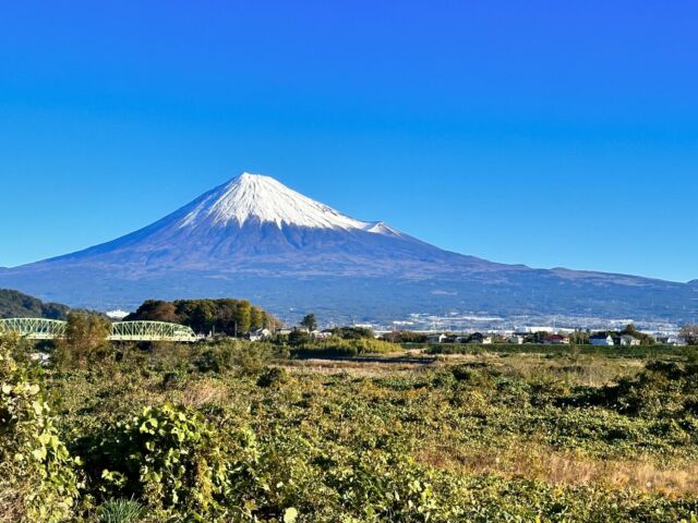 こんにちは♬.*ﾟ
タクセル国久保です。
写真は昨年、富士川の河川敷から撮った富士山です🗻

先日、会館の前で外国の観光客の方お2人が、道に迷って困っていました。
その方たちは日本語が一切喋れず、
私も何とか英語を聞き取れはしたものの
話せないので、携帯の翻訳機能を使って会話をしました。

その方たちは｢富士山が綺麗に見れる場所に行きたい｣との事でした。
タクセル国久保からも綺麗な富士山が見えていましたが…🤭

タクセル国久保の前の道路 139号線を
西に向かうと、タクセル天間を過ぎ、
さらに進むと、富士山世界遺産センターや
富士宮浅間神社があります。
そちらをおすすめし、その方たちはタクシーで向かわれました。
突然の異文化交流に戸惑いましたが、
こういう形でお客様がお見えになってくださるのも嬉しかったです🤗

皆様もお近くに来られる時がありましたら、ホールをのぞいて見るだけでも構いませんので、ぜひお立ち寄りください。
温かいお飲み物を用意してお待ちしております。

タクセルでは常時事前相談を受け付けております。
お気軽にご来館ください。

葬儀の事なら想いを託せるタクセルへ⟡.·*.

#家族葬のタクセル
#タクセル 
#事前相談
#年会費無料
#入会金無料
#積立金0円
#富士市